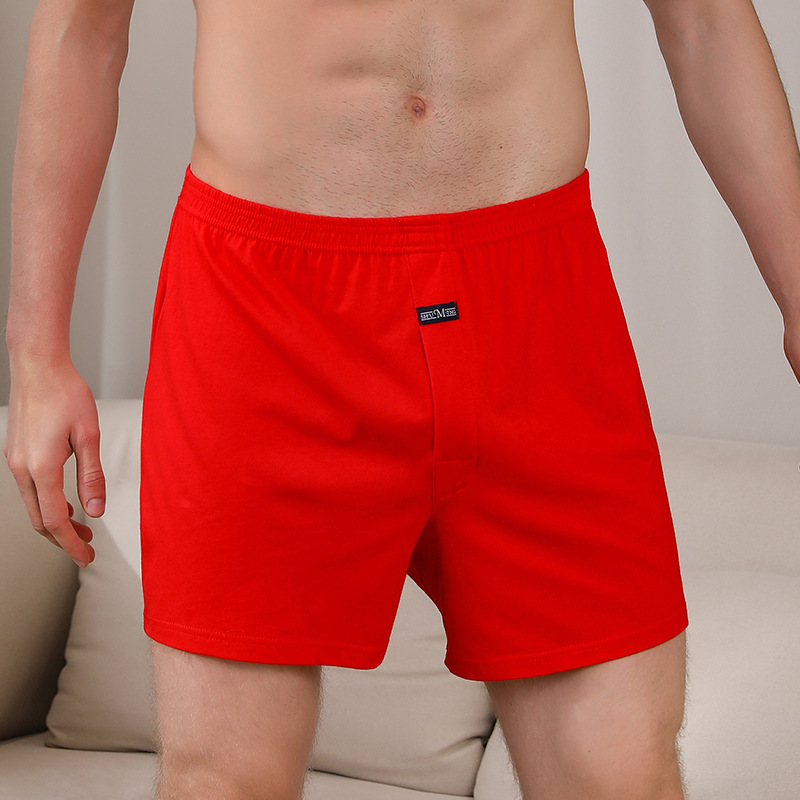 1PCS ชายชุดชั้นใน Aro กางเกงผ้ - Boxer Brief Pack Cotton บทวิจารณ์และราคา
