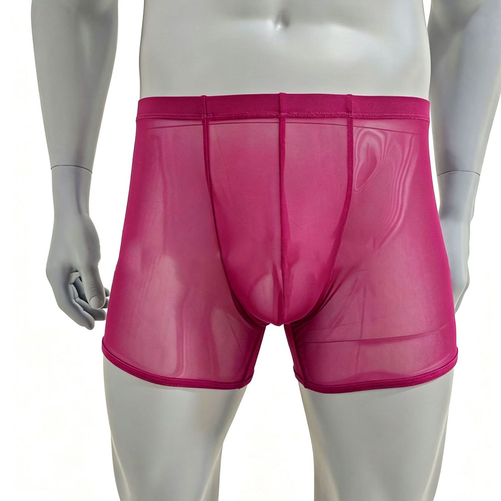 กางเกงบ็อกเซอร์ชายผ้าตาข่ายบาง - Long Leg Trunk Men บทวิจารณ์และราคา